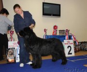 Превью фото № 231030