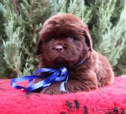 Превью фото № 231046