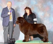 Превью фото № 231049