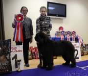 Превью фото № 231073