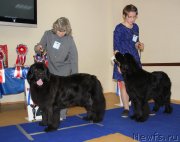 Превью фото № 231075