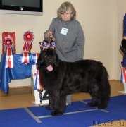 Превью фото № 231076