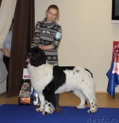 Превью фото № 231077