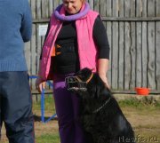 Превью фото № 231143