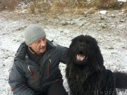 Превью фото № 231202