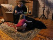 Превью фото № 231204