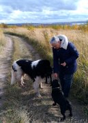 Превью фото № 231216