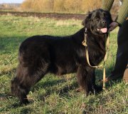 Превью фото № 231312