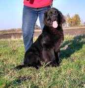 Превью фото № 231340