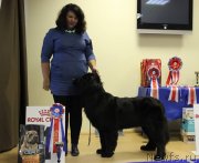 Превью фото № 231345