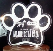 Превью фото № 231384