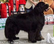 Превью фото № 231410