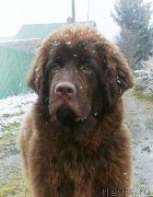 Превью фото № 231476