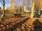 Превью фото № 231478