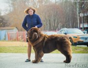 Превью фото № 231494