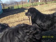 Превью фото № 231500