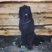 Превью фото № 231511