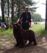 Превью фото № 231514