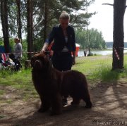 Превью фото № 231516