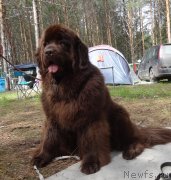 Превью фото № 231517