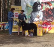 Превью фото № 231518