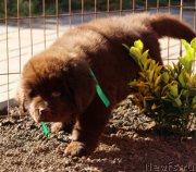 Превью фото № 231524