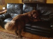 Превью фото № 231527