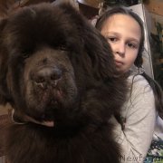 Превью фото № 231542