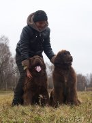 Превью фото № 231545