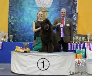 Превью фото № 231565