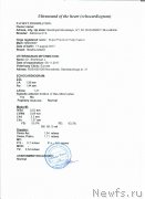 Превью фото № 231637