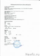 Превью фото № 231638