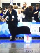 Превью фото № 231660