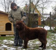 Превью фото № 231722