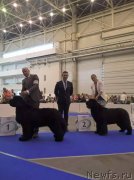 Превью фото № 231790