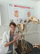 Превью фото № 231825