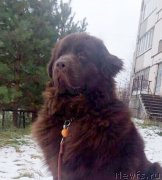 Превью фото № 231830