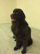 Превью фото № 231833