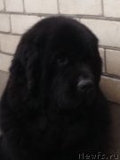 Превью фото № 231864