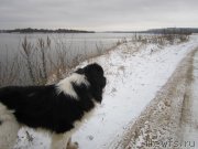 Превью фото № 231913