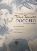Превью фото № 231921