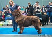 Превью фото № 231969