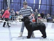 Превью фото № 232009