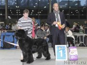 Превью фото № 232024