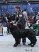 Превью фото № 232031