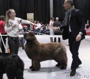 Превью фото № 232037