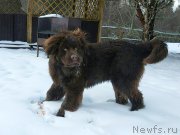 Превью фото № 232092