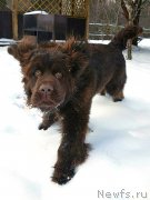 Превью фото № 232094