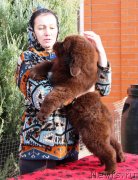 Превью фото № 232100