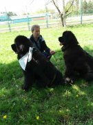 Превью фото № 232103